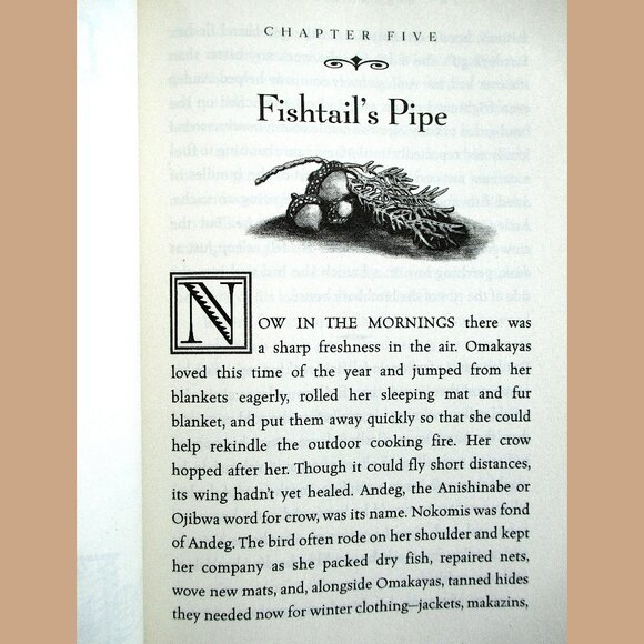 Book: The Birchbark House (Juv Fiction) written & illustrated by Louise Erdrich - Picture 7 of 16